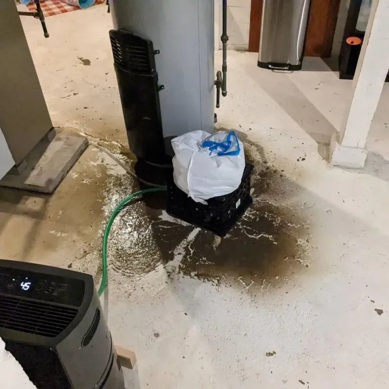Sewage Backup Cleanup Service in Centreville, MS